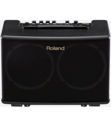 Roland AC 40